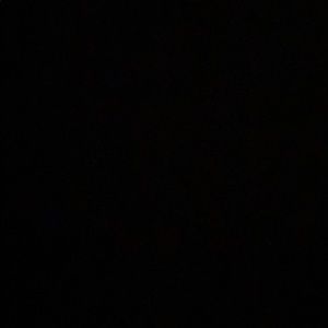 Meet your Posher, Isabella